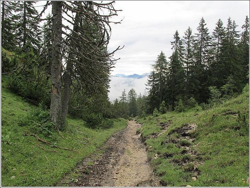 2014-07-02-08h54m41 2014-07-02-08h54m41