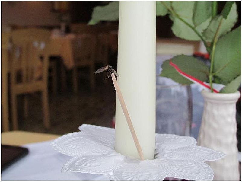 2014-07-02-13h24m18 2014-07-02-13h24m18