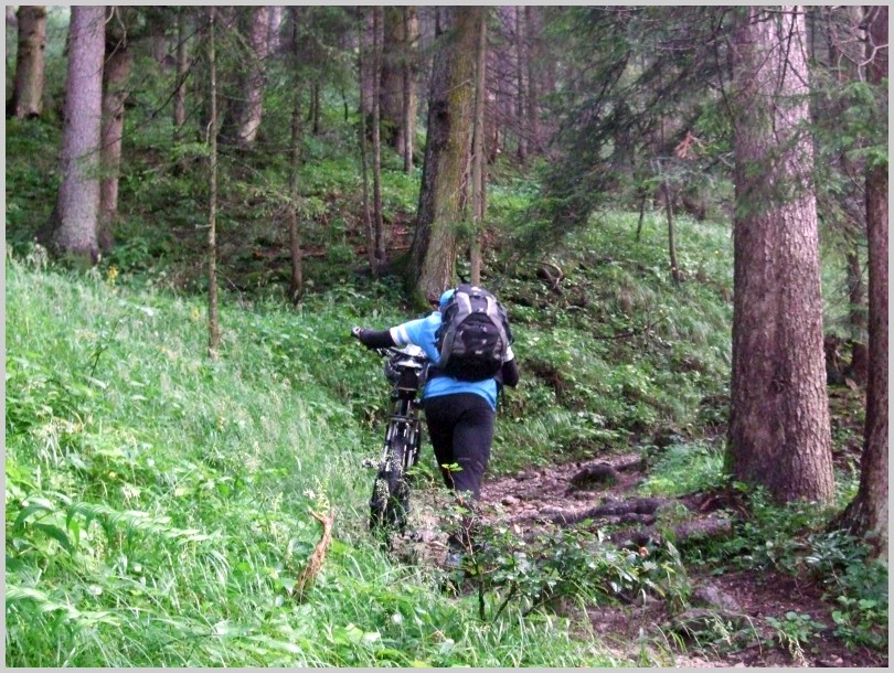 DachsteinTag207 DachsteinTag207