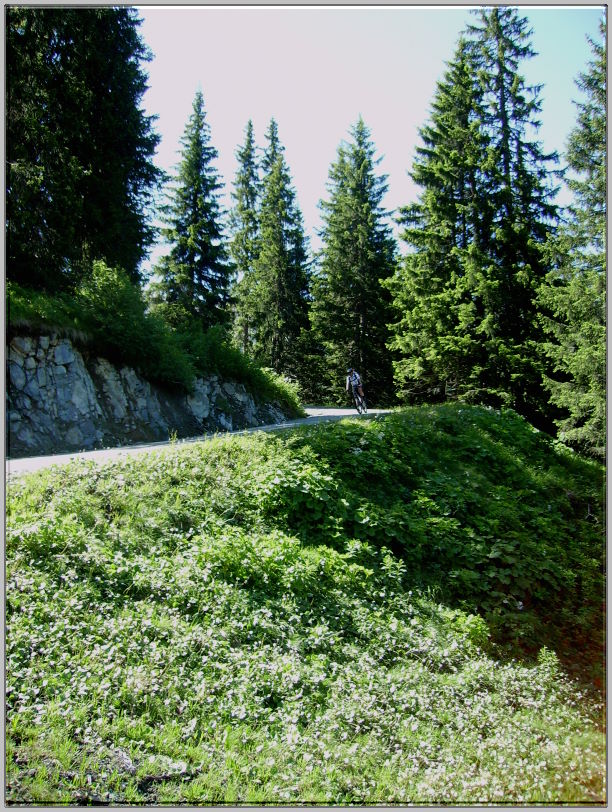 Tag1 - 05 Zeinisjoch Abfahrt 01
