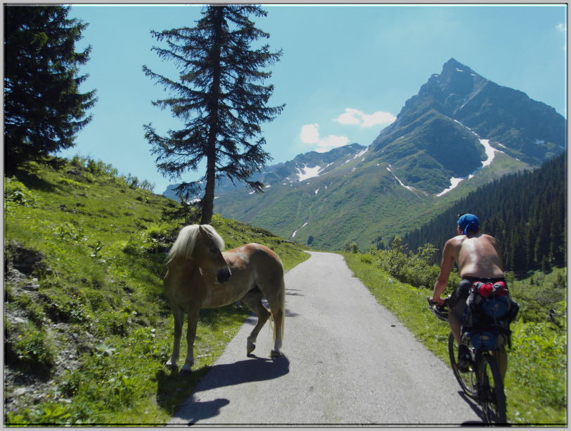 Tag1 - 08 Aufahrt Schalppiner Joch 06