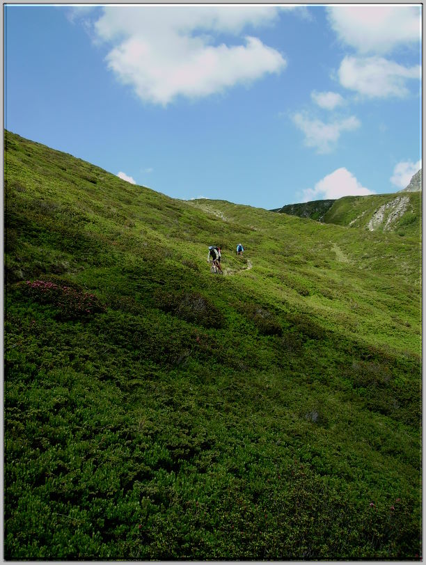 Tag1 - 11 Abfahrt Schalppiner Joch 01