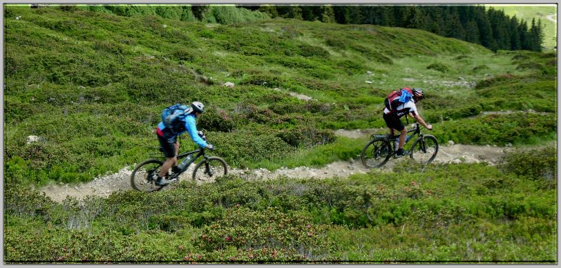 Tag1 - 11 Abfahrt Schalppiner Joch 06