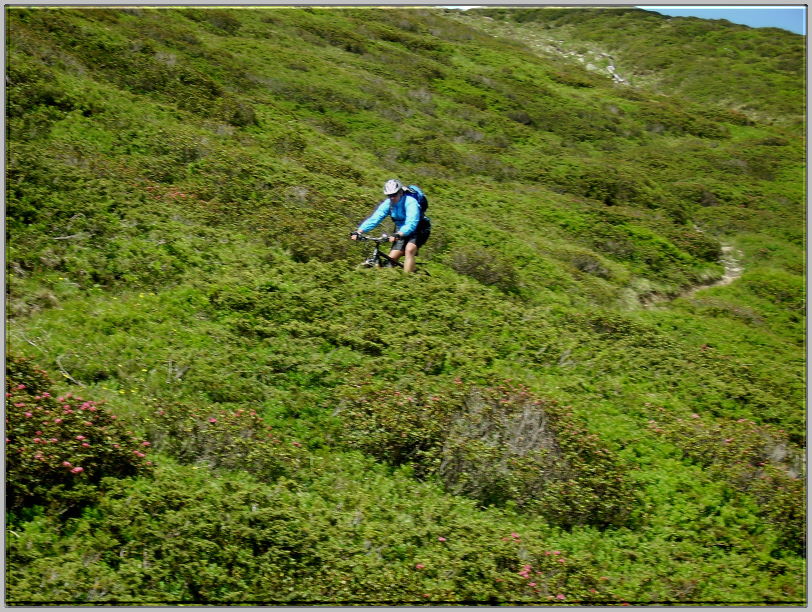 Tag1 - 11 Abfahrt Schalppiner Joch 07